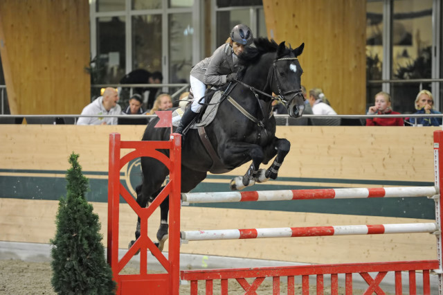 data/inhalt/events/2015/15152/Fotos horsesportsphoto Freitag/FriesGabriele_JumpingStar3_B16_CSNB_Racino_chorsesportsphoto.eu.JPG