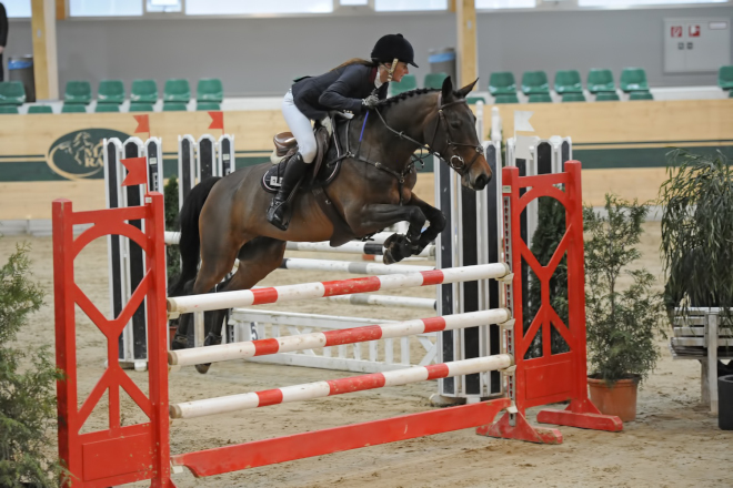 data/inhalt/events/2015/15154/Fotos horsesportsphoto Samstag/Bw_06_3_Zarug_Annamaria_Titania_BW06_CSI2Racino_chorsesportsphoto.eu.JPG