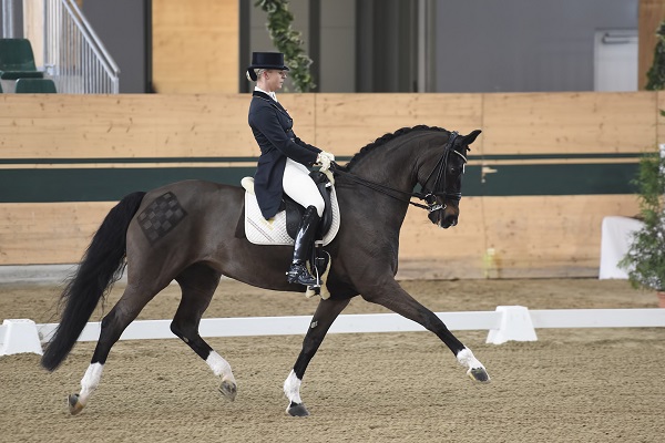 data/inhalt/events/2018/18017_CDI_DressageClassics/Max-TheurerVictoria_DellaCavalleriaOLD03_BW13_SichtungGrosseTour_CDNARacino_chorsesportsphoto.eu.JPG