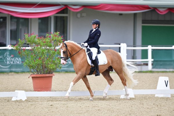 MR2018 NOE-LM FR Tonnhofer Samantha kl