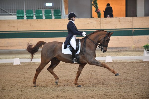 MR2018 Sichtung SA Ahorner Nicola Louise kl