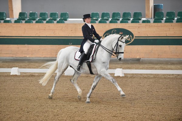 MR2018 Sichtung SA Palm Stefanie kl