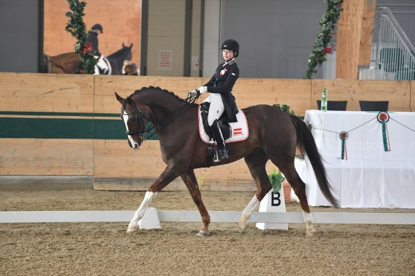 MR2018 Sichtung SO Grabenwoger Helene02 kl