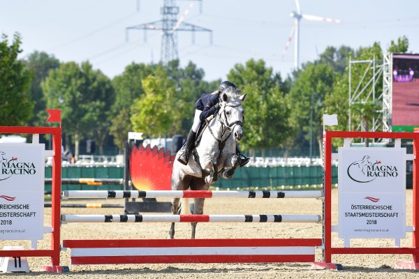 MR2018 OESTM SA Zenkl Elisabeth kl