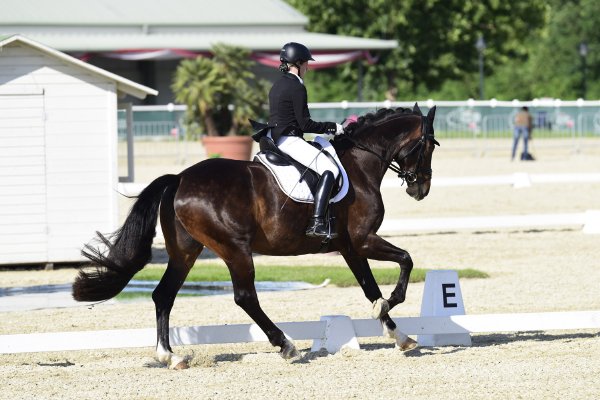 MR2018 RacinoFestival SA Graf Sophie kl