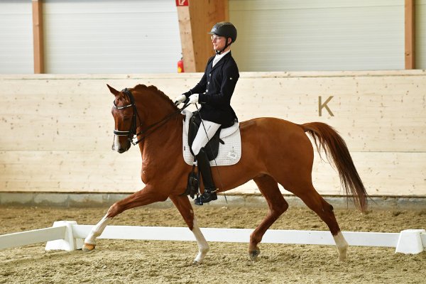 MR2019 Sichtung FR Zimmermann Florian E kl