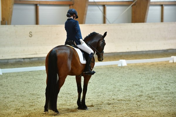 MR2019 Sichtung SA Abfalterer Lena kl