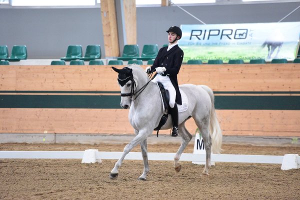 MR2019 Sichtung SA Artner Felix kl