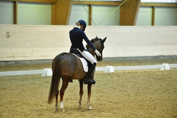 MR2019 Sichtung SA Lahofer Clarissa kl