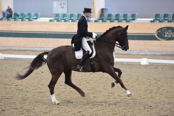 MR2019 Sichtung SO Gmoser Peter kl