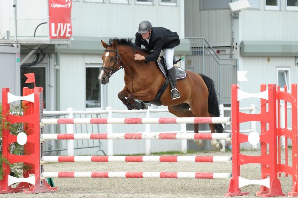 MR2019 Sep B  BW-08 Standardspringprufung 1.20 m Reischl Hermann Bidens