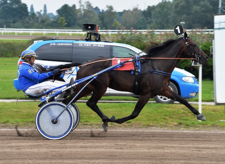 data/inhalt/fotos/Renntage_2014/2014_09_07_stronach_derby/2014_09_07_Breeders_Crown_ToscaVictory.jpg