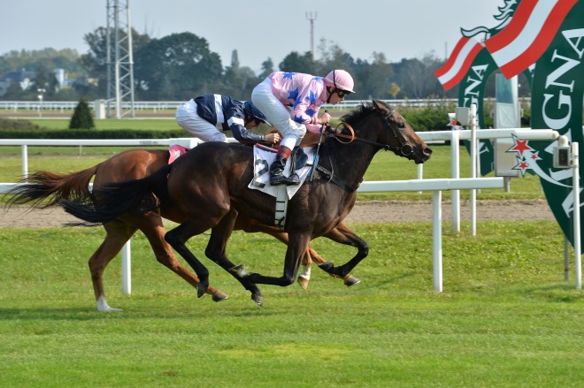 data/inhalt/fotos/Renntage_2014/2014_10_05_Renntag_/fotos/2014_10_05_Galopp02_Salsanara_Dubravka_cFR.JPG