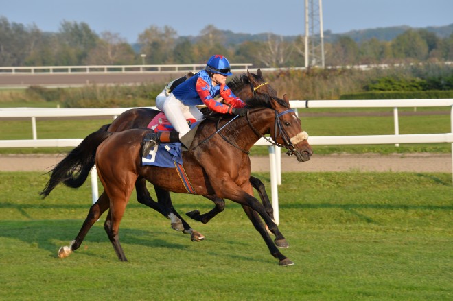 data/inhalt/fotos/Renntage_2014/2014_10_05_Renntag_/fotos/2014_10_05_Galopp08_Zauberin_cFR.JPG