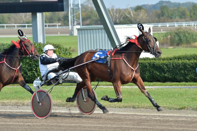 data/inhalt/fotos/Renntage_2014/2014_10_05_Renntag_/fotos/2014_10_05_Trab03_JSElektra_cFR.JPG